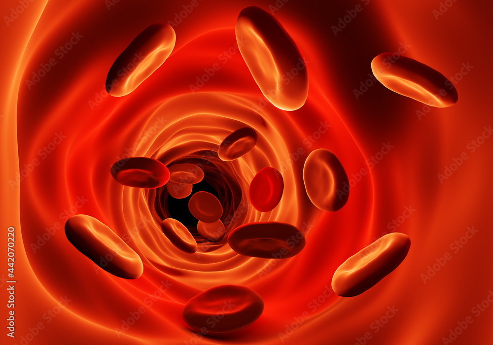 Blood circulation concept. Red blood cells. Enlarged blood cells in the veins. Blood flow