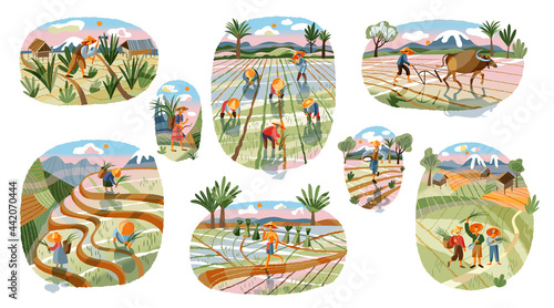 Fototapeta Naklejka Na Ścianę i Meble -  Asian farmers in agriculture set. Farm with Chinese, Vietnamese, Indian or Indonesian workers vector illustration. Men and women collecting crops in fields, plowing with bull