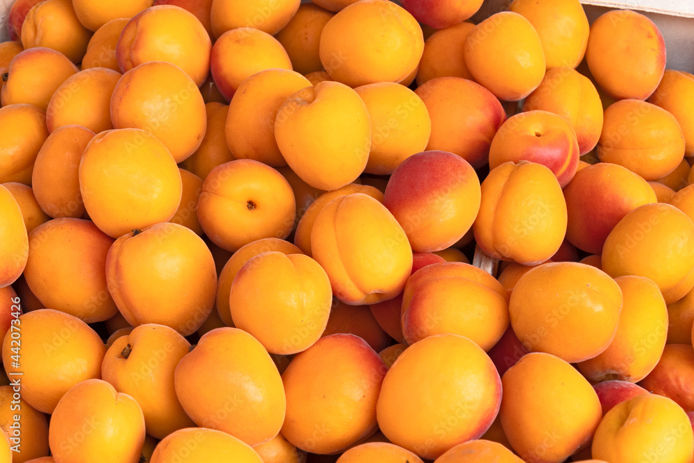 tas d'abricots sur un étal de marché tas d'abricots sur un étal de marché