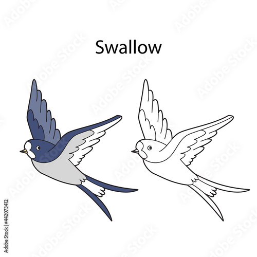 Funny cute bird swallow isolated on white background. Linear, contour, black and white and colored version. Illustration can be used for coloring book and pictures for children