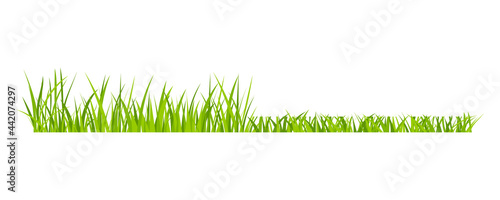 Green grassland lawn field border flat style design vector illustration isolated on white background. Cartoon summer green grass nature landscape field.