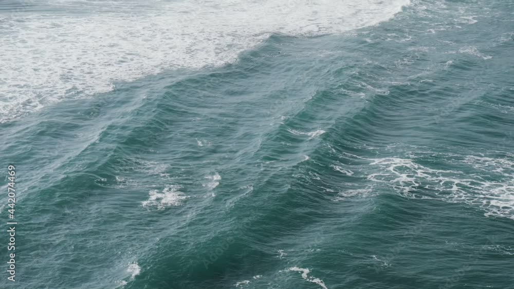 Single bird flying above the ocean. Single bird flying above the ocean.