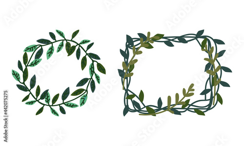 Green Entangled Branches and Twigs as Decorative Element Vector Set © topvectors