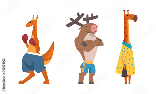 Humanized Animals of Different Professions with Giraffe Teacher and Boxing Kangaroo Vector Set