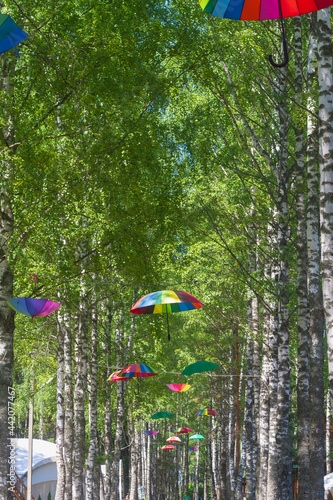 Colorful rainbow umbrellas adorn the alley in the park, a symbol of LGBT people