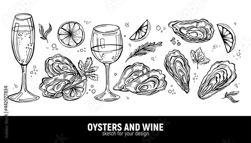A hand-drawn set of oysters and white wine (champagne). Sea delicacies for a romantic holiday. Sketches for menus or ads