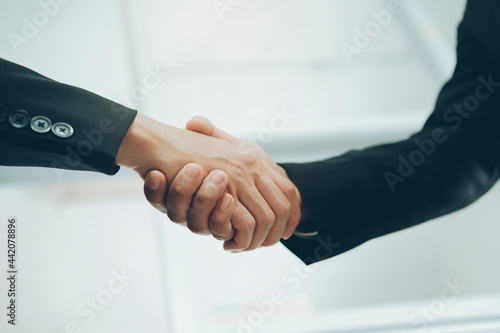 Businessmans handshake after good deal.