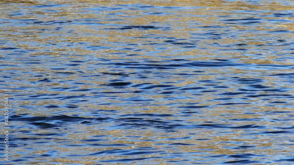 Golden sunlight reflections on the river water surface, slow motion. Golden sunlight reflections on the river water surface, slow motion.