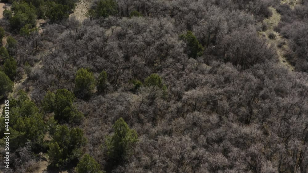 Cabin in the Beautiful Wilderness Mountains of Utah, USA - Aerial Cabin in the Beautiful Wilderness Mountains of Utah, USA - Aerial