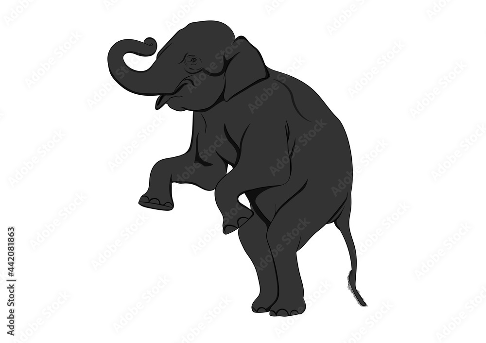 Fototapeta premium elephant Asia standing, isolated white background graphics design vector Illustration