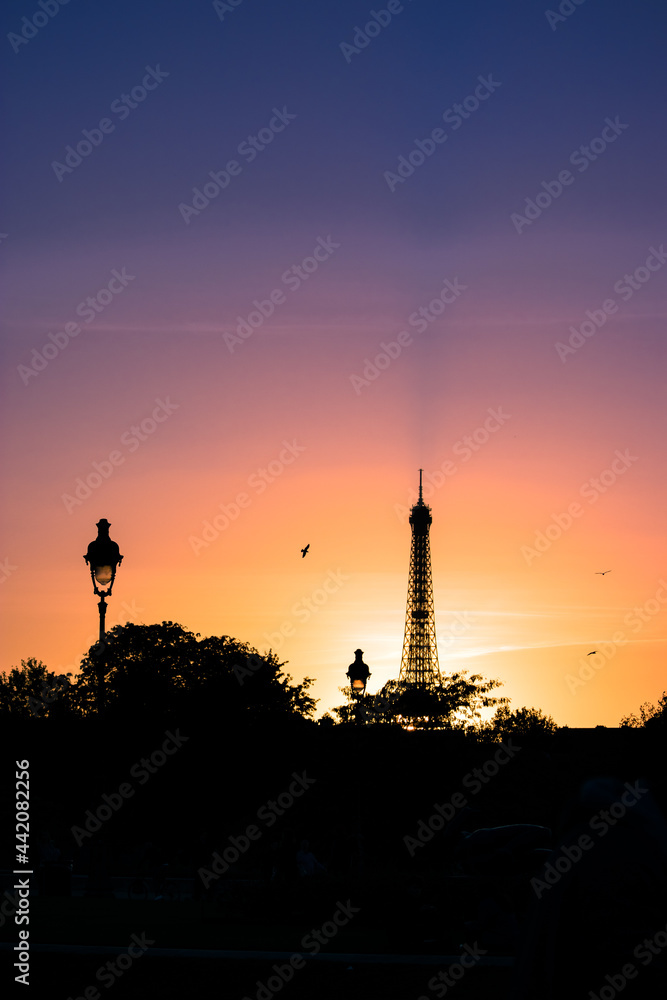 Coucher de soleil à paris France sur la tour Eiffel avec la silhouette d'oiseaux et de lampadaire 