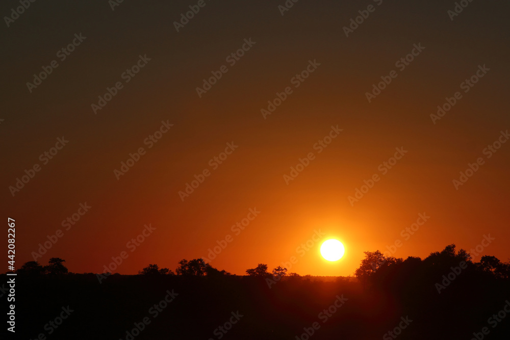 Sonnenuntergang Krüger Park Südafrika / Sundown Kruger Park South Africa / Sonnenuntergang Krüger Park Südafrika / Sundown Kruger Park South Africa /