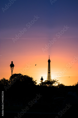 Coucher de soleil à paris France sur la tour Eiffel avec la silhouette d'oiseaux et de lampadaire  © Yossef