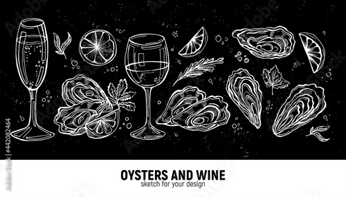 A hand-drawn set of oysters and white wine (champagne). Sea delicacies for a romantic holiday. Sketches for menus or ads