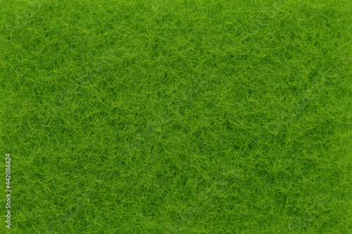 Abstract texture in green.