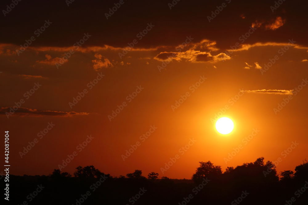 Sonnenuntergang Krüger Park Südafrika / Sundown Kruger Park South Africa /