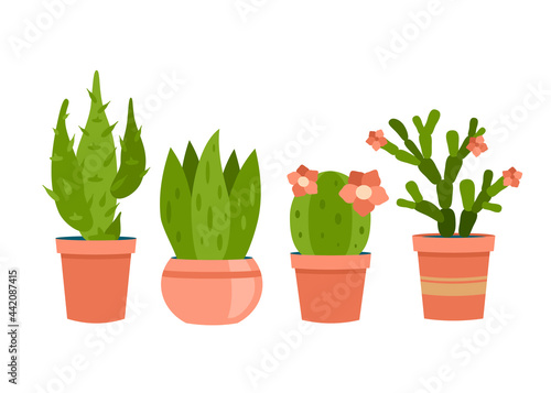 Interior succulents in pots. Decorative green cacti of various shapes with flower. Modern natural decor apartment and home interiors. Houseplant for scandinavian design. Vector cartoon illustration