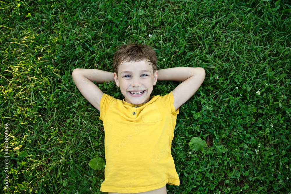happy kid boy lying on green grass outdoors in summer happy kid boy lying on green grass outdoors in summer
