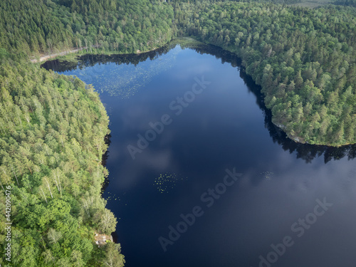 Bird's eye view of a pond, lake with green trees. Aerial, drone nature photography taken from above in Sweden in summer. Dark blue water surface background with copy space and place for text.