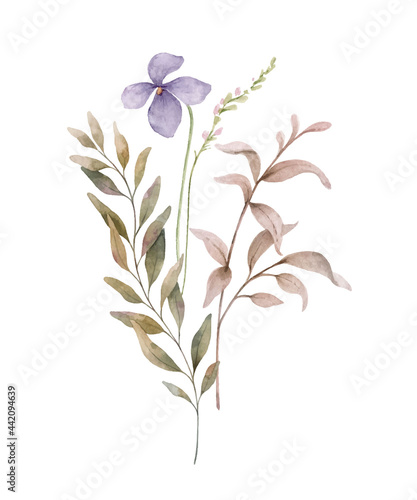 Watercolor vector bouquet of with wildflower flowers and leaves.