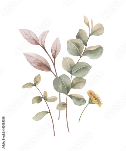 Watercolor vector bouquet of with wildflower flowers and leaves.