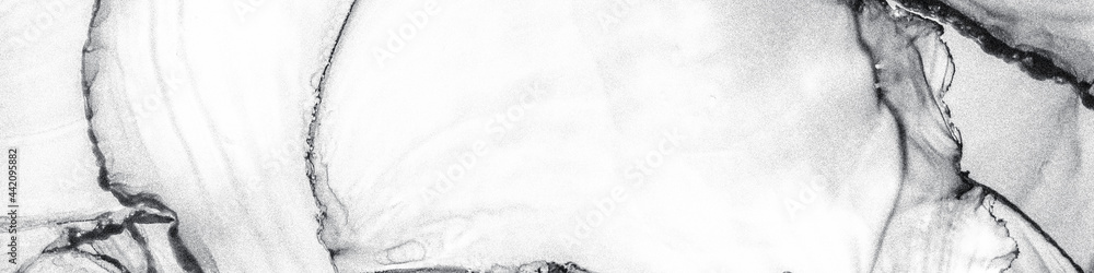 Obraz premium Metallic Ink Fluid. Black Feminine Pattern. White