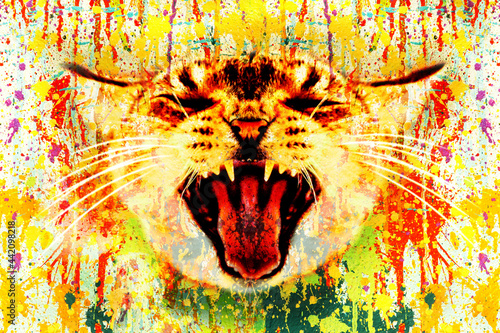 cat head with creative abst...