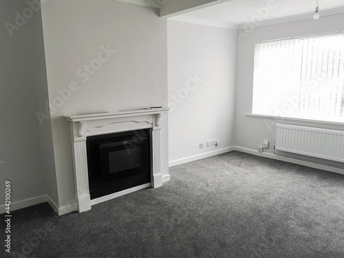 Obraz na płótnie Newly renovated living room with new fireplace and carpets ready for rental or s