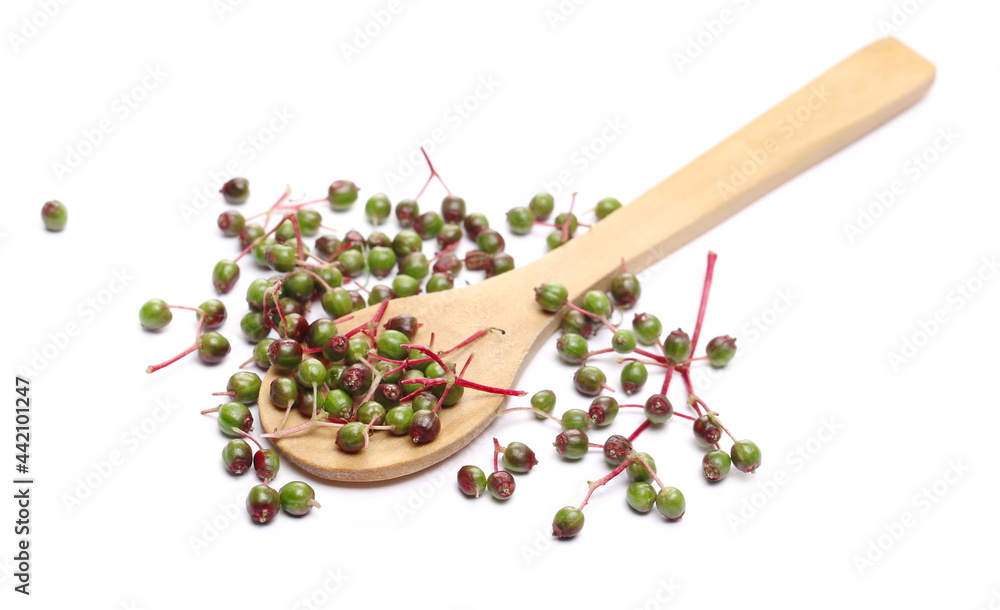 Fototapeta premium Unripe elderberries, elder plant berries with wooden spoon isolated on white background