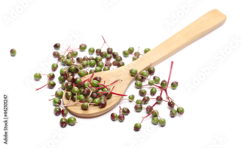Unripe elderberries, elder plant berries with wooden spoon isolated on white background