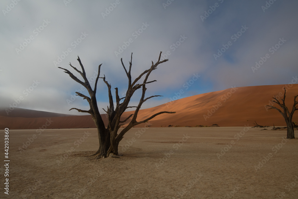 Dead Valley Sossusvlei Namibia