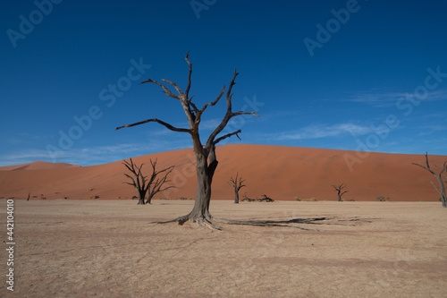 Dead Valley Sossusvlei Namibia