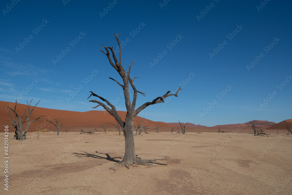 Dead Valley Sossusvlei Namibia