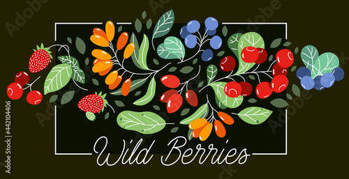 Wild berries fresh and ripe tasty healthy food vector flat style illustration over dark background, delicious vegetation diet eating, organic food.