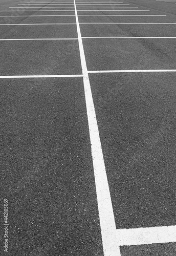 Empty grey asphalt parking with white markings stripes black and white