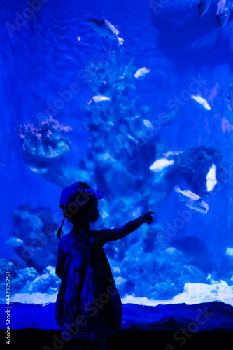 Child is looking at fishes in oceanarium. Toddler girl enjoying underwater life in big Aquarium in Egypt