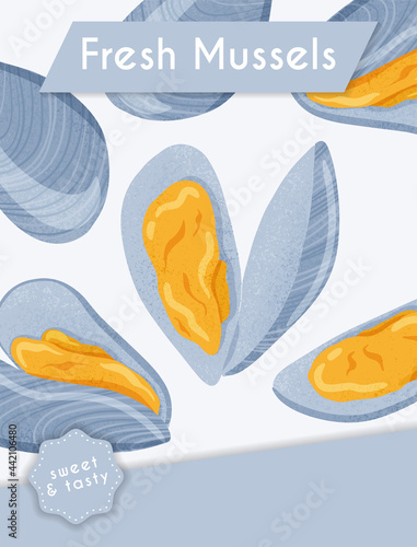 Fresh tasty seafood clams, shellfish in seashells vector hand drawn poster design with text space.