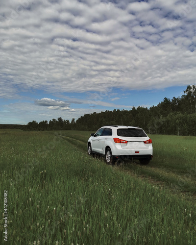 White car stands on the road in a green field in summer © DmitryDolgikh