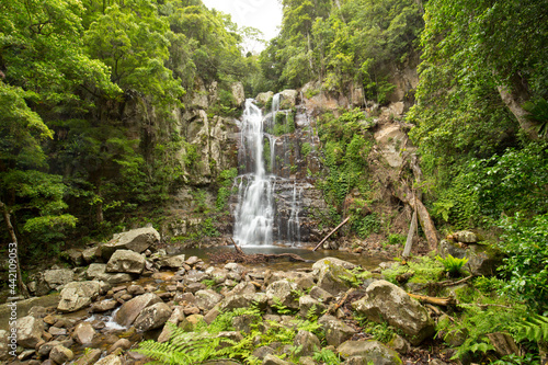 Tropical Waterfall in Minnamurra Rainforest Surrounded by Trees and Rocks