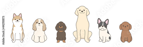 犬のベクターイラストレーション　横並び　整列