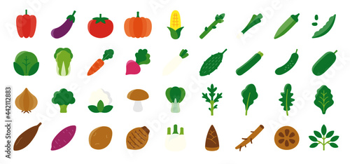 Vegetable Icon Set photo