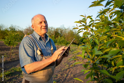 Portrait of senior agronomist with tablet computer standing in his orchard and checking plants.