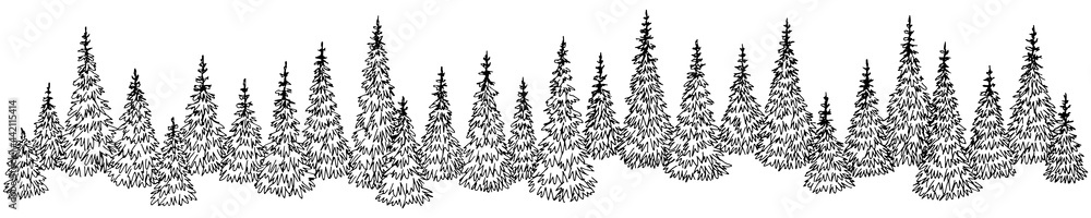 Fir forest graphic black white landscape sketch illustration vector