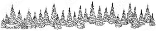 Fir forest graphic black white landscape sketch illustration vector