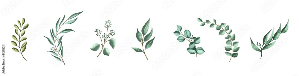 Vector set botanical elements - wildflowers, herbs and wild foliage Vector set botanical elements - wildflowers, herbs and wild foliage