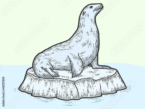 Animal, a sea lion on a block of ice. Sketch scratch board imitation.