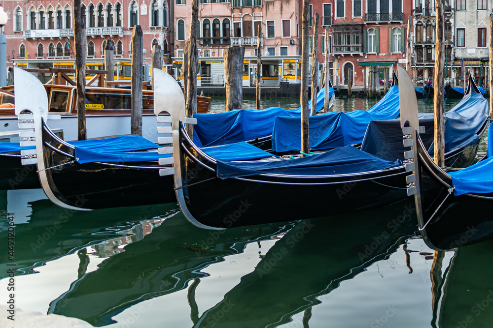 Traditional Gondolas moored a the Grand Canal in Venice, Italy on an early morning