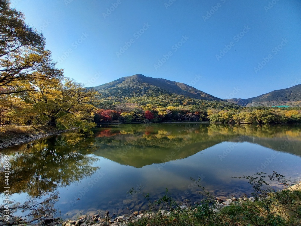 Obraz premium autumn in the mountains