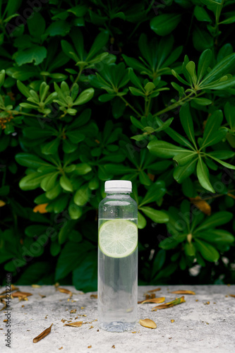 Bottle of water with slice of lime stands on a tile in front of a green bush