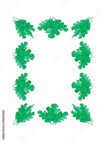 Frames of green oak leaves on a white sheet of A4 format  pastiche  graphics on the theme of the plant